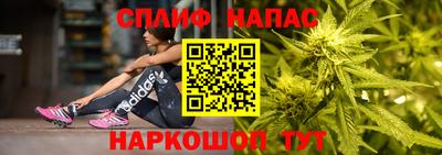 гидра Апрелевка