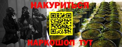 прущая мука Беслан