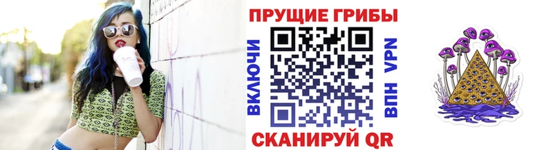 Псилоцибиновые грибы MAGIC MUSHROOMS  где продают   Волжск 