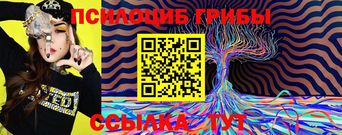 Галлюциногенные грибы MAGIC MUSHROOMS  Волжск  Галлюциногенные грибы прущие грибы 